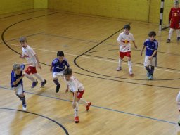 mini-IMG_5469
